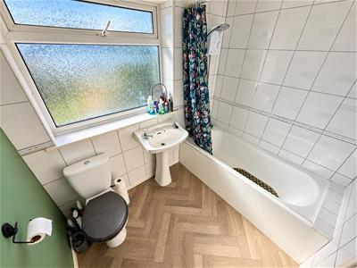 Picture 15